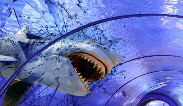 Antalya Aquarium